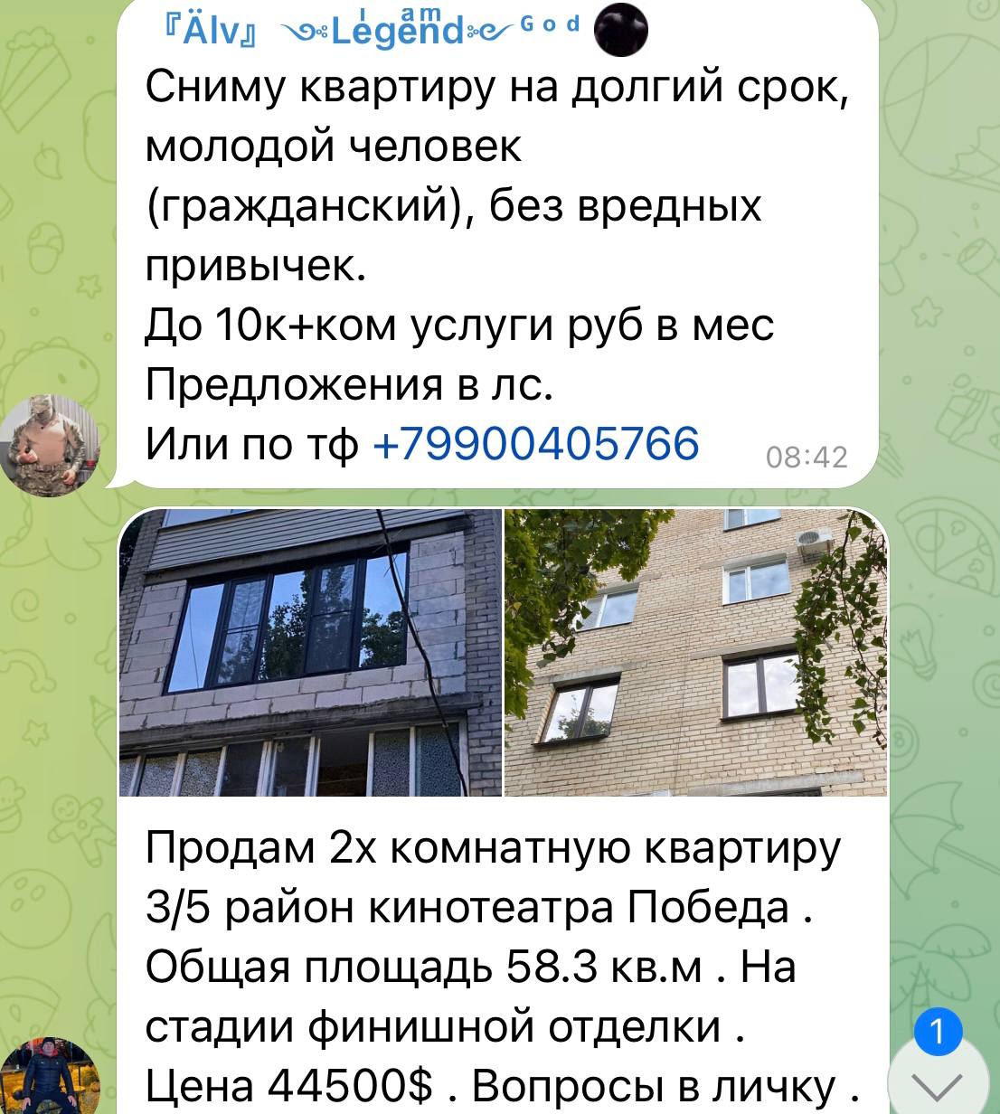 В связи с наплывом «понаехавших» россиян, взлетели цены не только на аренду жилья. 4